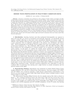 SEISMIC WAVE PROPAGATION IN FRACTURED CARBONATE