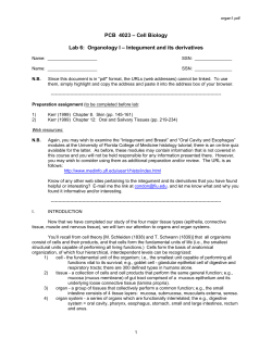 Integument and its derivatives