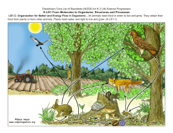 K-LS1 From Molecules to Organisms: Structures