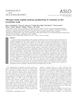 Nitrogen loads explain primary productivity in estuaries at the