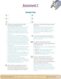 Assessment 2: Answer Key