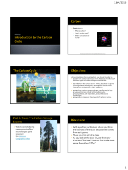 4.3 Lecture