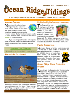 Ibis on Inlet Cay Island Manatee Live Webcam! Ocean Ridge Shore