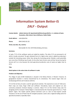 FS19_ZALF_Retail Options Value Chain Sunflower - Better-iS