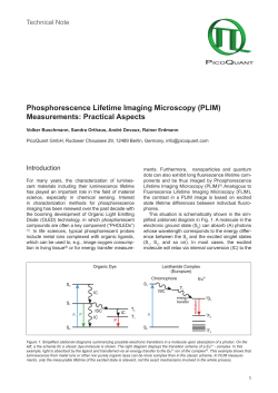 Phosphorescence Lifetime Imaging Microscopy (PLIM)