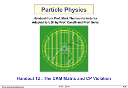 Particle Physics