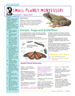 Europe, frogs and butterflies!