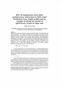 How do immigration rates affect predator/prey interactions in field