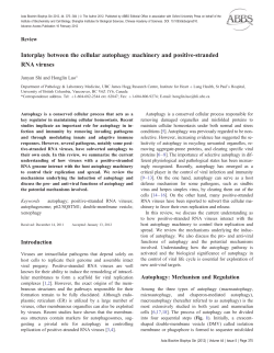 Interplay between the cellular autophagy machinery and positive