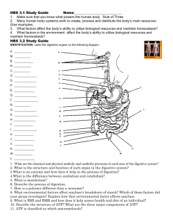 HBS 3.1 Study Guide Name____________________________ 1