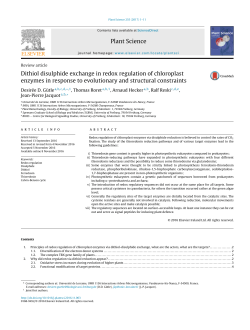 Dithiol disulphide exchange in redox regulation of chloroplast