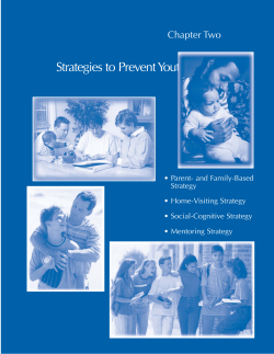 Strategies to Prevent Youth Violence