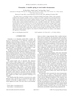 Chromatin: A tunable spring at work inside chromosomes