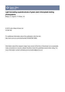 Light-harvesting superstructures of green plant chloroplasts lacking
