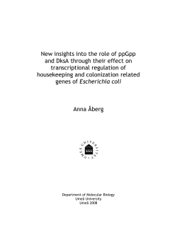 New insights into the role of ppGpp and DksA through