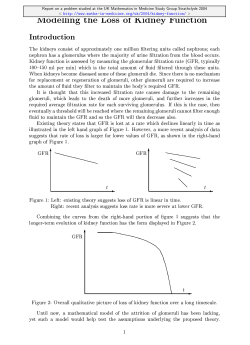 The effect of glomeruli death on kidney function