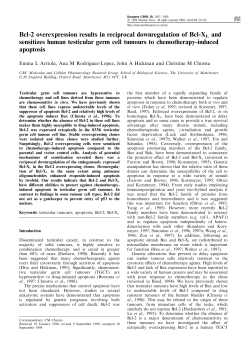 Bcl-2 overexpression results in reciprocal downregulation