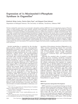 Expression of 1L-Myoinositol-1-Phosphate Synthase in Organelles