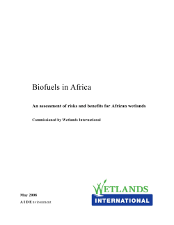 Biofuels in Africa