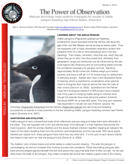 The Power of Observation FINAL