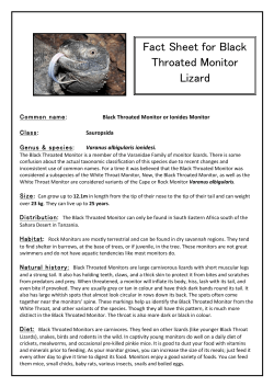 Fact Sheet for Black Throated Monitor Lizard