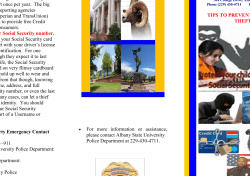 IDENTITY THEFT BR - Albany State University