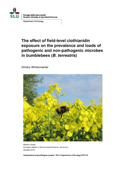 The effect of field-level clothianidin exposure on the