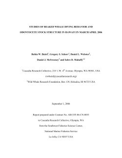 Baird et al 2006 beaked whale report