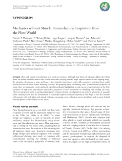 Mechanics without Muscle: Biomechanical