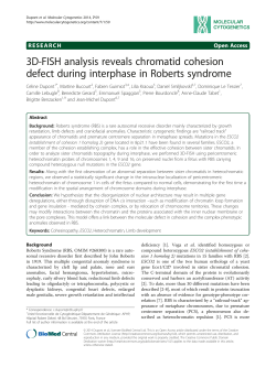 3D-FISH analysis reveals chromatid cohesion defect during