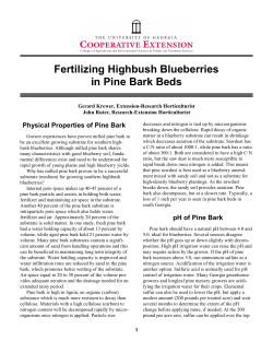 Fertilizing Blueberries in Pine Bark Beds