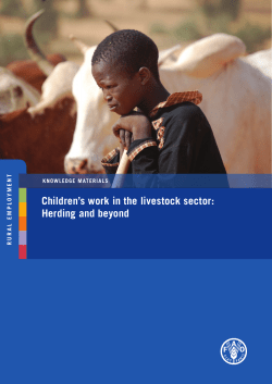 Children`s work in the livestock sector: Herding and beyond