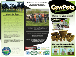 The best biodegradable pot on the market! Better for your