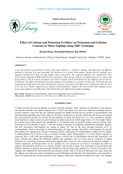 Effect of Calcium and Potassium Fertilizer on Potassium and
