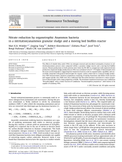 Nitrate reduction by organotrophic Anammox bacteria