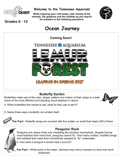 9th - 12th AquaQuest