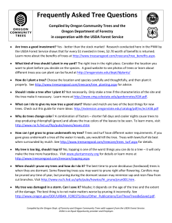 to Top 21 Frequently Asked Tree Questions