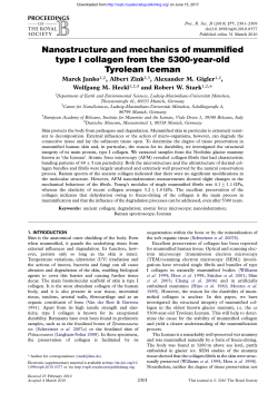 Nanostructure and mechanics of mummified type I collagen from the