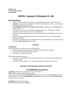 4 Notes (Animalia II)
