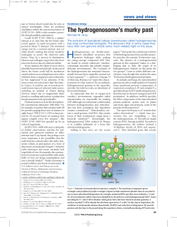 news and views