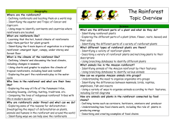 The Rainforest - Hampstead Hill School