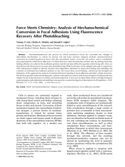 J Cell Biochem. - Boston Children`s Hospital