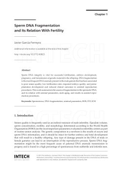 as PDF