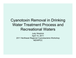 Cyanotoxin Removal in Drinking Water Treatment Process