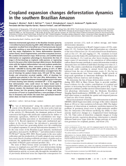Cropland expansion changes deforestation dynamics in - INPE