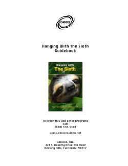 Hanging With the Sloth Guidebook