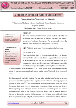 a report on different types of aerial roots