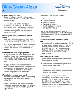 Blue-Green Algae - Government of Nova Scotia