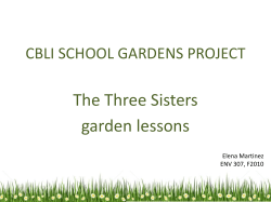 CBLI SCHOOL GARDENS PROJECT