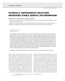 Ploidally antagonistic selection maintains stable genetic